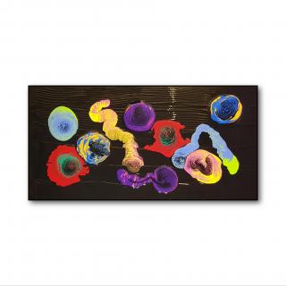 Firework von LINGENS Martin - Zu meiner Ausstellung Firework.jpg