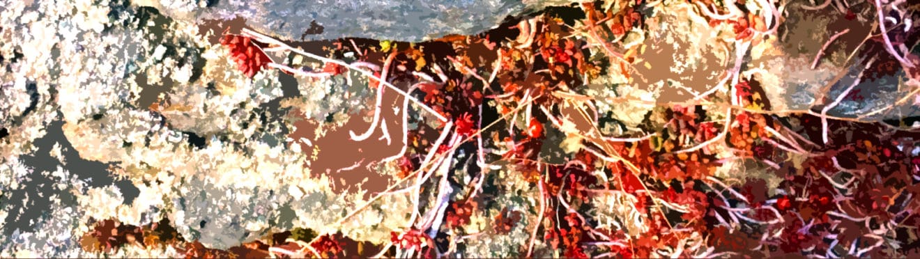 Digitales Kunstwerk Kunstpavillon.com Kunstwerk Kunstpavillon.com